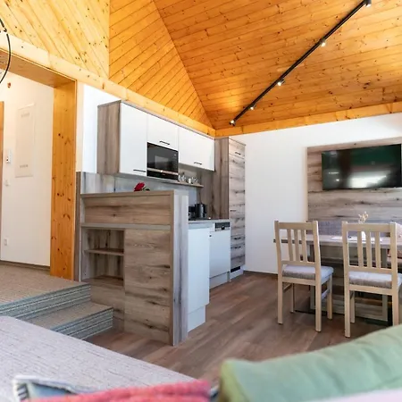 Apartment Mina&hansl Schladming