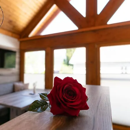 Apartment Mina&hansl Schladming
