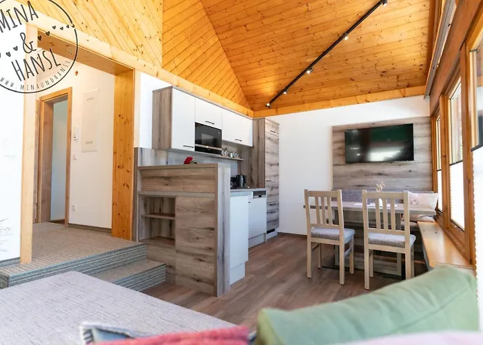 Appartement Mina&hansl Schladming