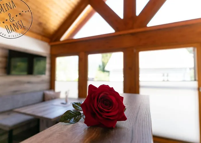 Apartment Mina&hansl Schladming