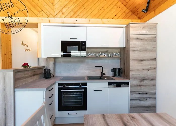 Mina&hansl Apartment Schladming